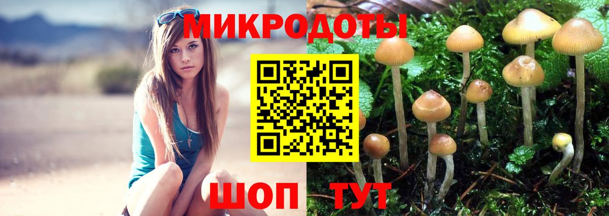 Галлюциногенные грибы прущие грибы  Псилоцибиновые грибы Psilocybe  Сокол  Вход с VPN 