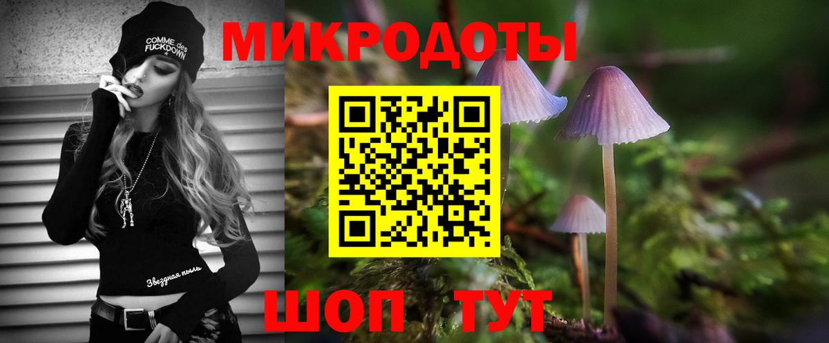 Псилоцибиновые грибы Psilocybine cubensis Сокол