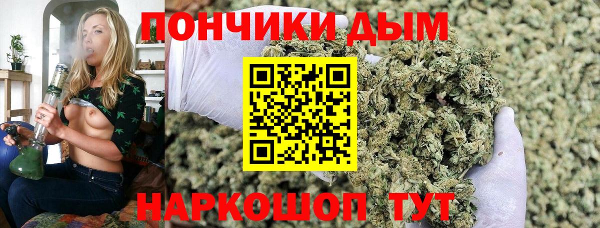 Каннабис Bruce Banner  МАРИХУАНА MAZAR  Вход с VPN  Сокол  Канабис гибрид  Марихуана гибрид 